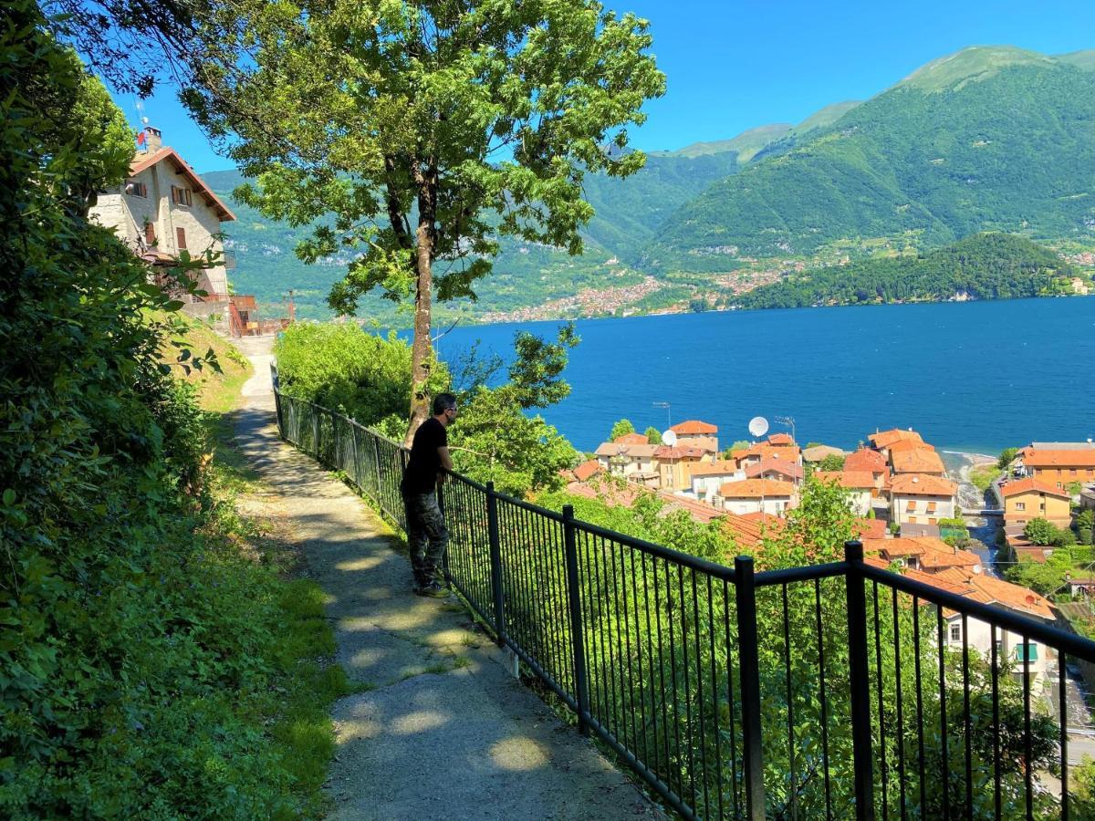 Il Bellavista Daire Lezzeno Dış mekan fotoğraf